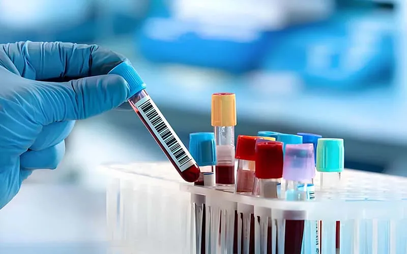 最新消息主要標題文字3